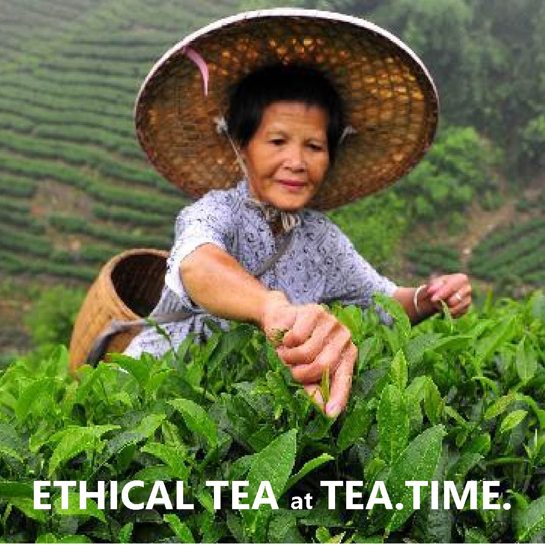 Nettle, Lemongrass & Lemon Verbena - 200% Carbon Offset